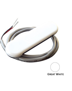 SHADOW-CASTER GREAT WHITE COURTESY LIGHT W/2' LEAD WIRE [SCM-CL-GW-4PACK]
