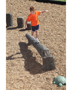 Nature Rocks 8' FALLEN TREE BALANCE BEAM